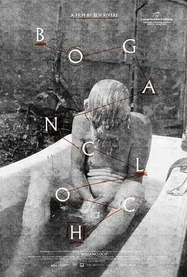 《林中空地》：失忆少女的绝地反击，悬疑惊悚背后的人性拷问！