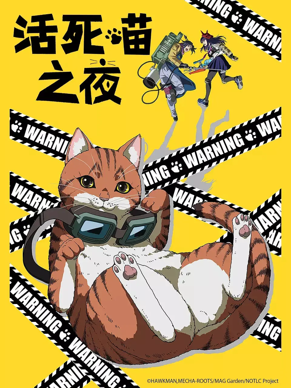 《活死喵之夜》：喵星人入侵地球？一场爆笑又惊悚的喵咪末日求生记！