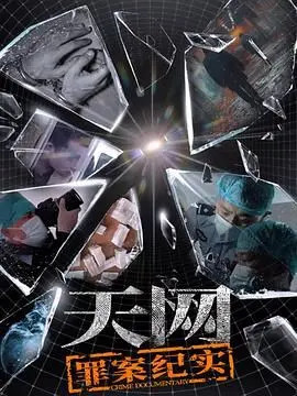 《天网：罪案纪实》：揭秘人工智能犯罪新维度，深度解析AI如何成为罪恶的帮凶与工具